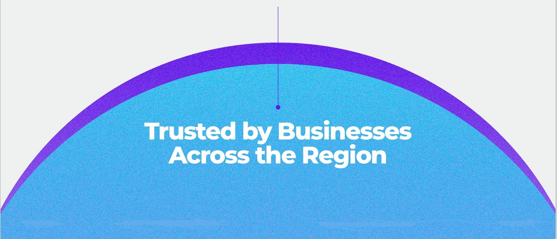 Trusted by Businesses Across the Region